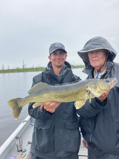 Walleye