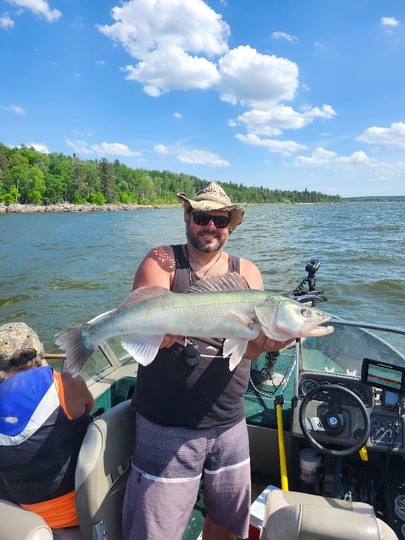 Walleye