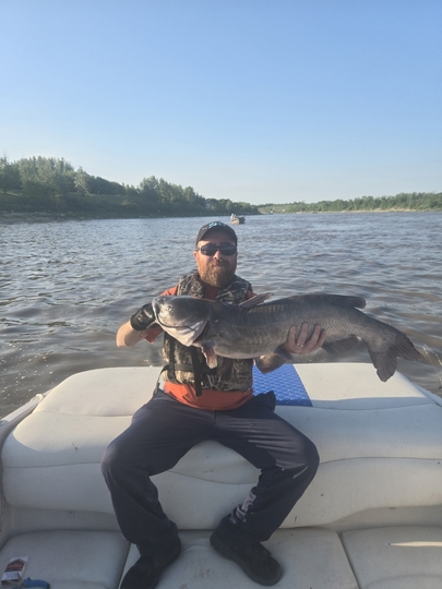 Channel Catfish