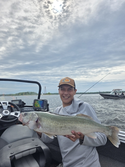 Walleye