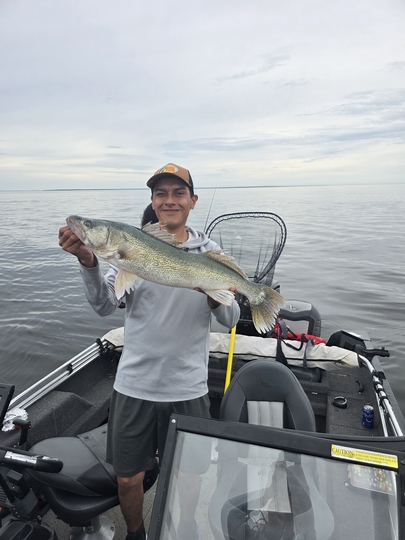 Walleye