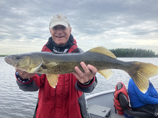 Walleye