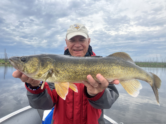 Walleye