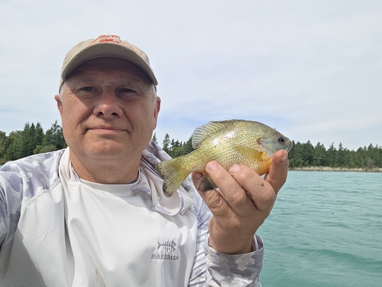 Sunfish