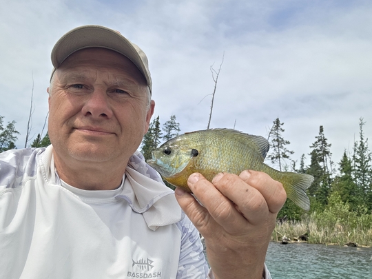 Sunfish