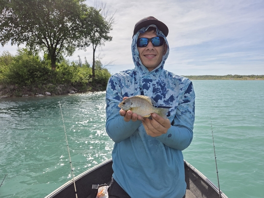 Sunfish
