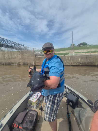 Channel Catfish