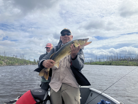 Walleye
