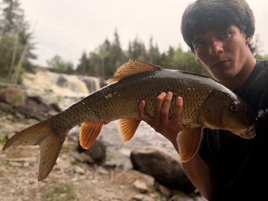Sucker