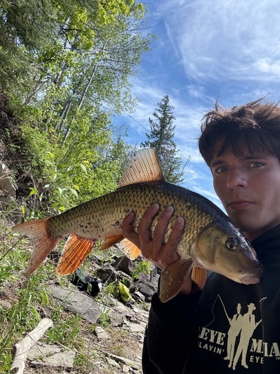 Sucker