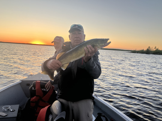 Walleye