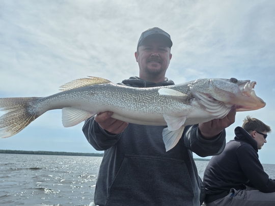 Walleye