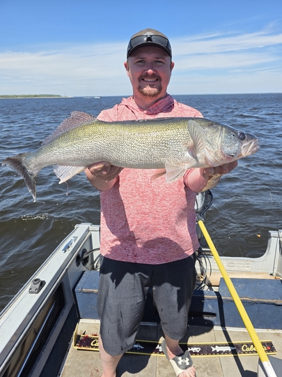 Walleye