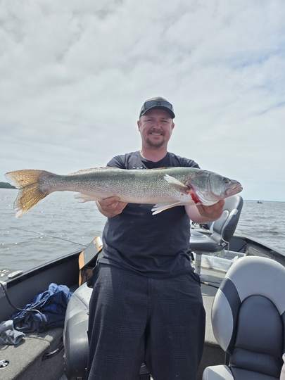 Walleye