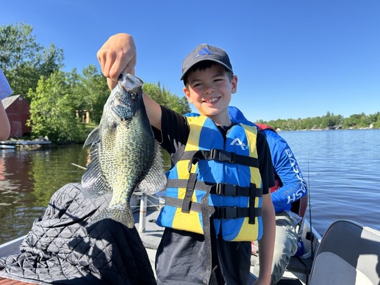 Black Crappie