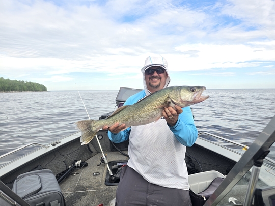 Walleye