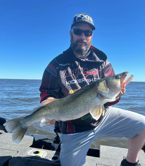 Walleye