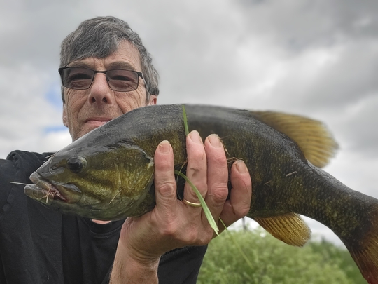 Smallmouth Bass