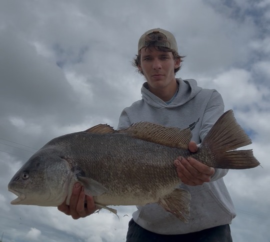 Freshwater Drum
