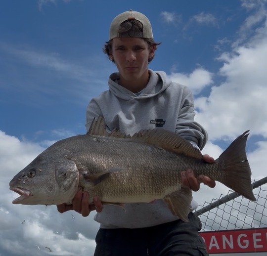 Freshwater Drum