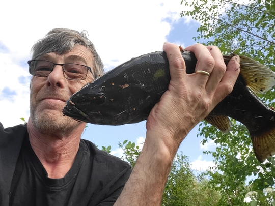 Smallmouth Bass