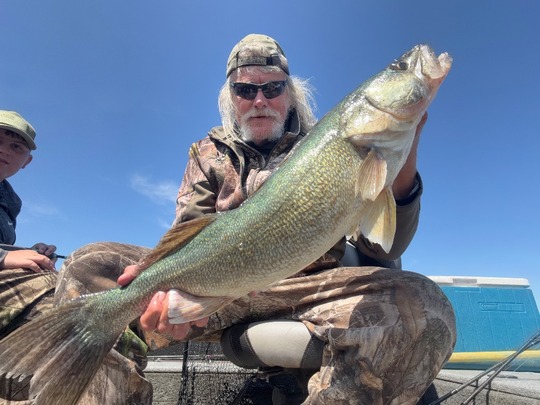 Walleye