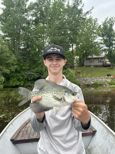Black Crappie