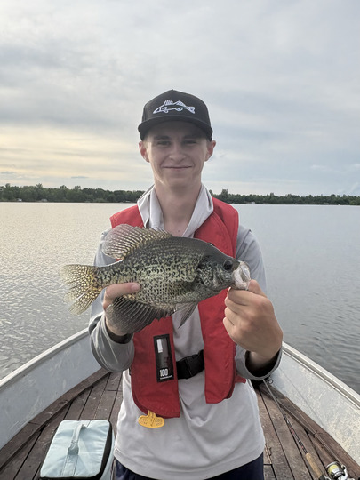 Black Crappie
