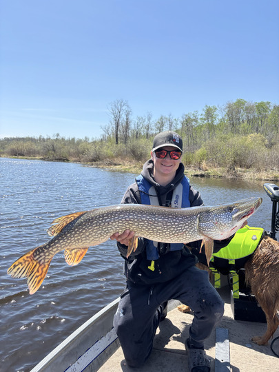 Northern Pike