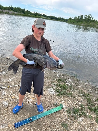 Channel Catfish
