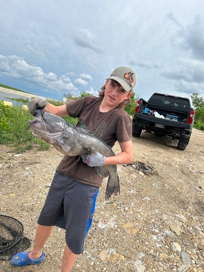 Channel Catfish