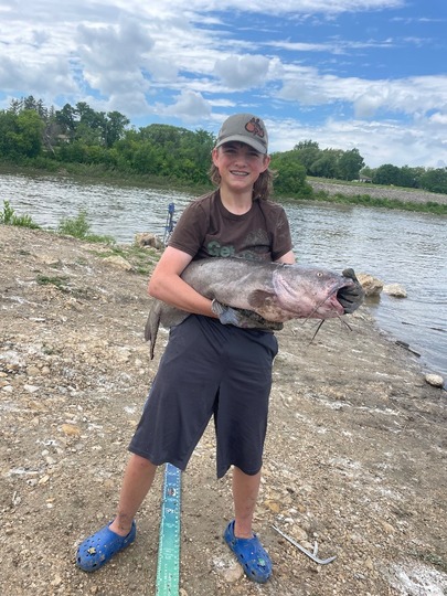 Channel Catfish