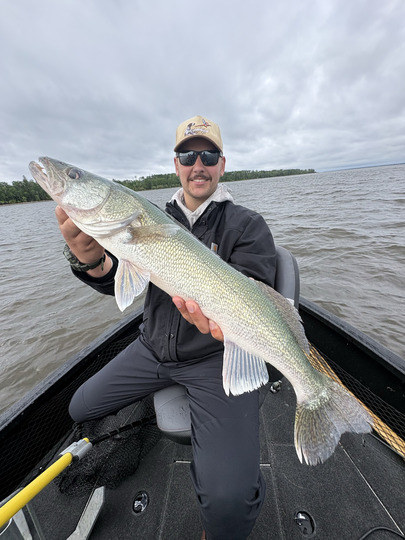 Walleye
