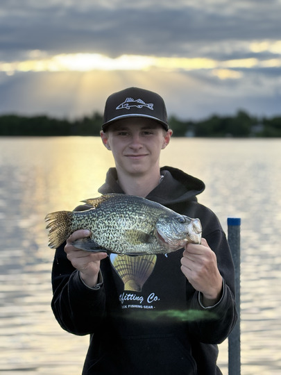 Black Crappie