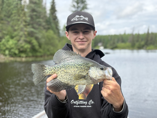 Black Crappie