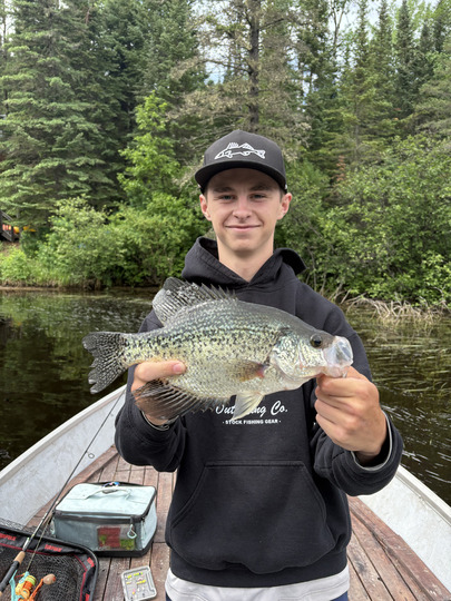 Black Crappie