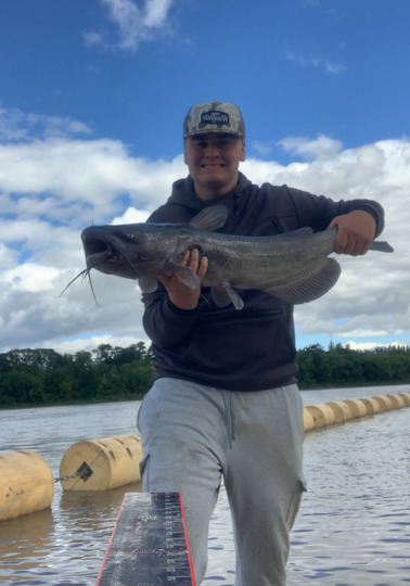 Channel Catfish