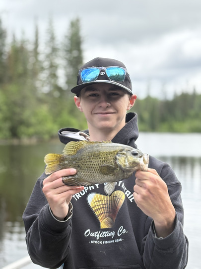 Rock Bass