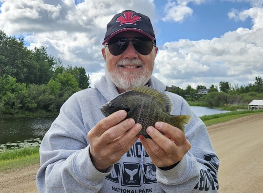 Sunfish