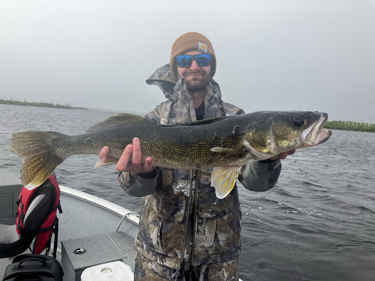 Walleye