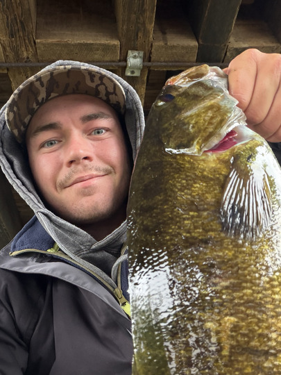 Smallmouth Bass