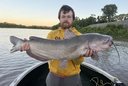Channel Catfish