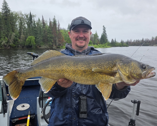 Walleye