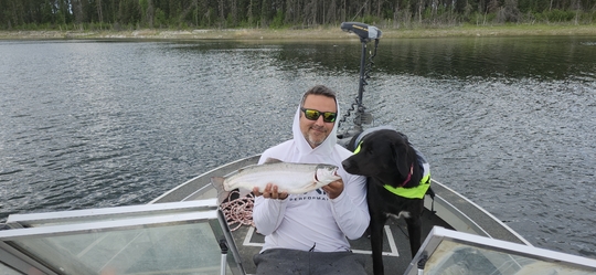 Rainbow Trout