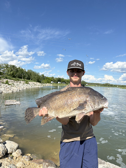 Freshwater Drum