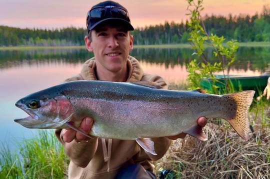 Rainbow Trout