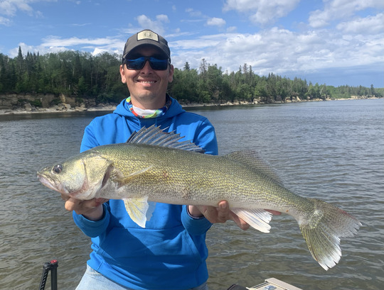 Walleye
