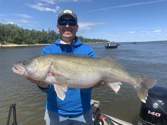 Walleye