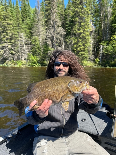 Smallmouth Bass