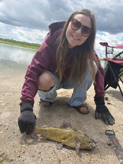 Bullhead
